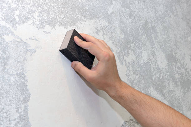 Best Commercial Mold Inspection  in Merrillville, IN