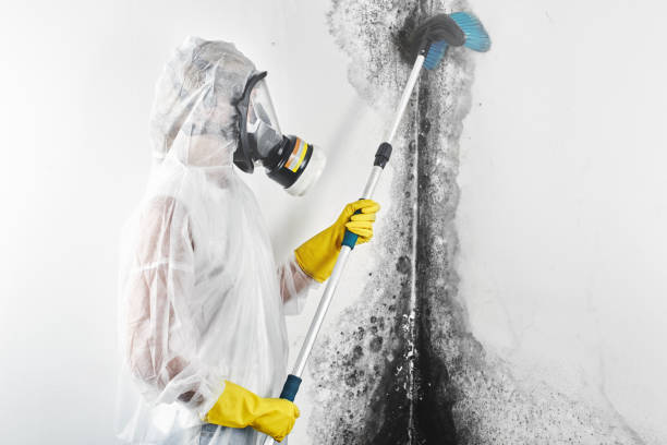 Best Air Quality Testing for Mold Spores  in Merrillville, IN