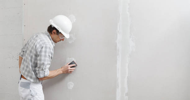 Best Industrial Mold Remediation  in Merrillville, IN