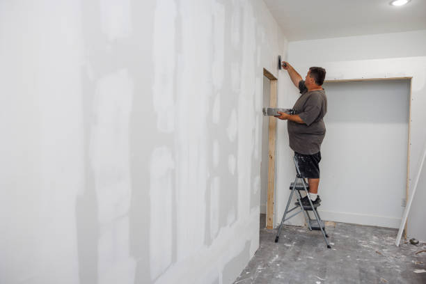 Best Attic Mold Removal  in Merrillville, IN