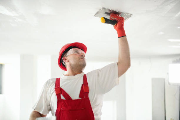 Best Mold Documentation for Insurance Claims  in Merrillville, IN