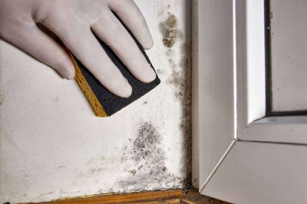 Best Indoor Air Quality Assessment  in Merrillville, IN