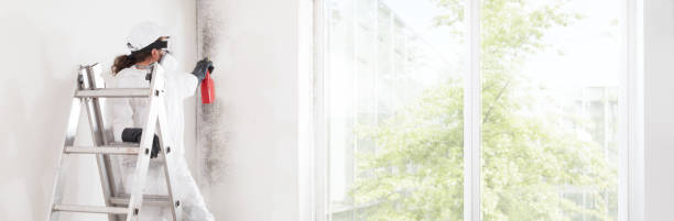 Mold Remediation for Vacation Homes in Merrillville, IN