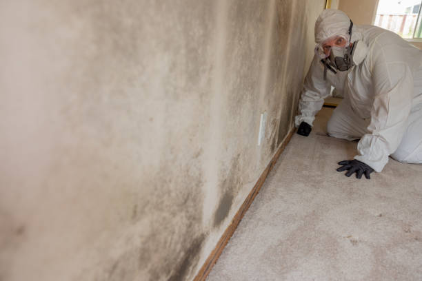 Best Mold Remediation for Vacation Homes  in Merrillville, IN