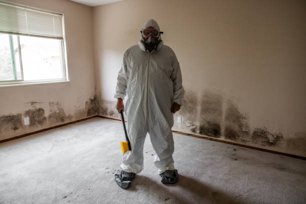 Best Mold Odor Removal Services  in Merrillville, IN