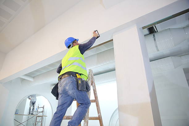 Reliable Merrillville, IN Mold Removal Solutions