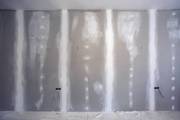 Best Emergency Mold Remediation  in Merrillville, IN